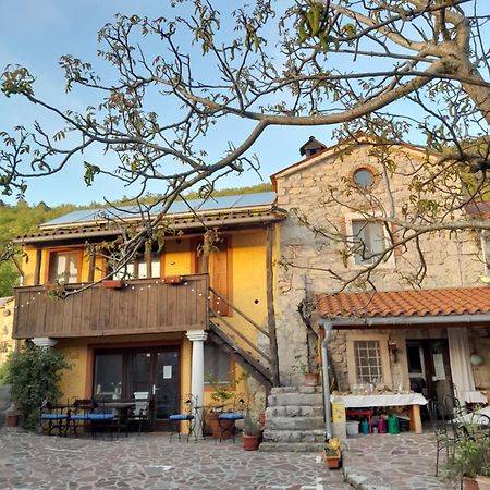 Hostel Xaxid Črni Kal Extérieur photo